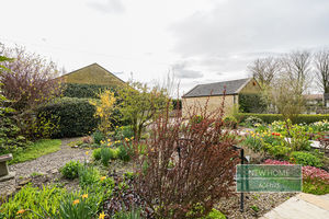 Photo 6- click for photo gallery
